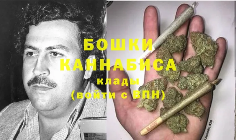 omg вход  Невель  Бошки Шишки OG Kush 